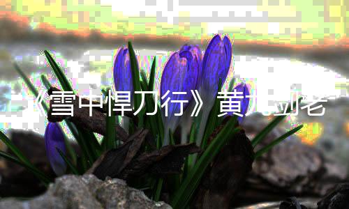 刀行雪老黄力结吗 死了绍中悍九剑九实局介黄黄老
