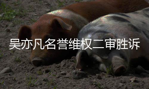 驳回被告吴亦审胜诉 上诉权二誉维凡名法院