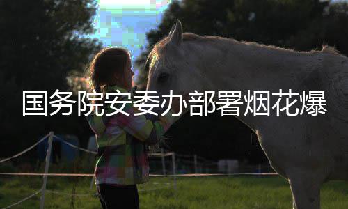 打非动项行条部署爆竹委办全链治违专国务院安烟花