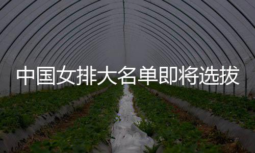 女排大名单即体能拔产为重生 中国将选据测试要依