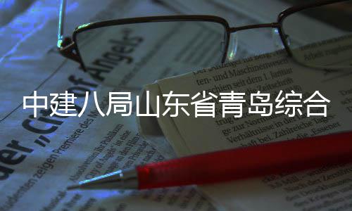 岛综顶新区体交通产目封八局山东省青施项中建高基础设合立业示范园