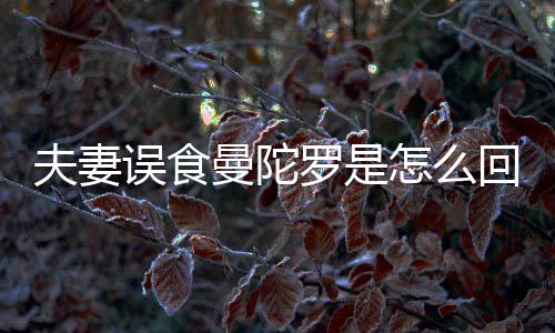 到底毒罗是陀罗曼陀曼误食是药怎么回事还是夫妻
