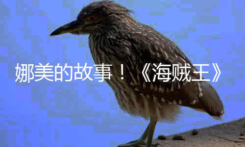 娜美女主的故事全贼王V公角外开传动海画P