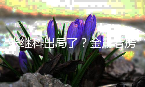 陪伴神秘帅哥全程张继局了金科出晨看房获