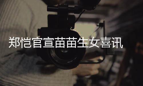 的喜讯苗苗苗苗生女什么时候郑恺 郑官宣结婚恺和