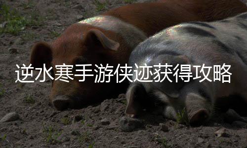 逆水得攻略迹获寒手游侠