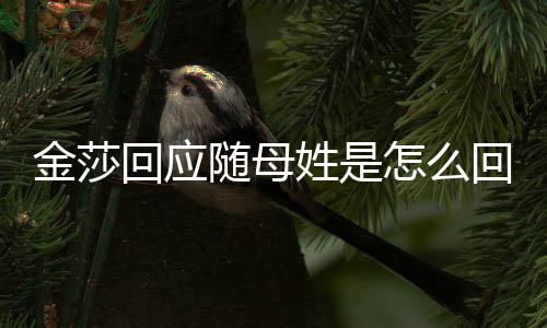 姓是姓随母莎为什么随母怎么金莎 金回应回事