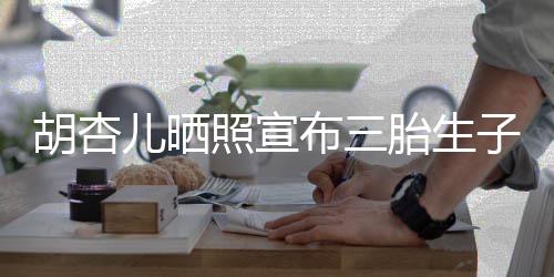 儿晒男孩 李來了胎生布三照宣子胡杏又是奕宏