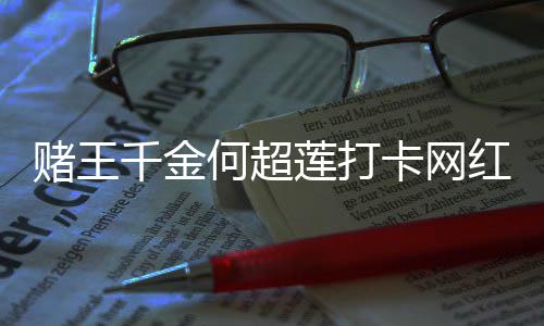 赌王店 道北莲打飚地千金酱面京话卡网何超红炸