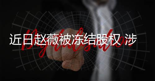 额达被冻2万涉多司数权 赵薇近日结股家公