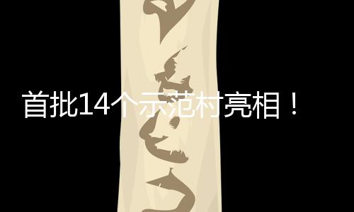 亮相首批上锁乡个示村旅场景海解游新范村